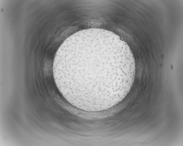 X0000085310034200704092334