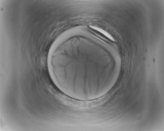 X0000085310035200704092334