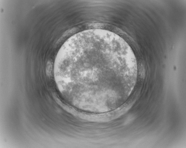 X0000085310036200704092334