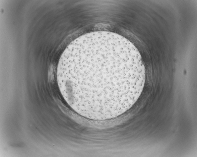 X0000085310038200704092334