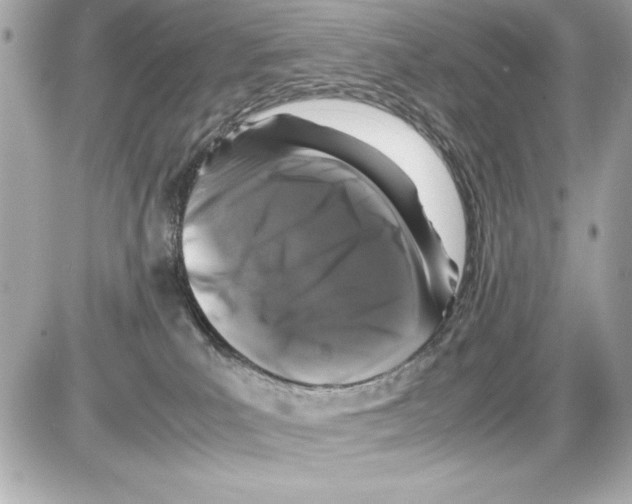 X0000085310039200704092334