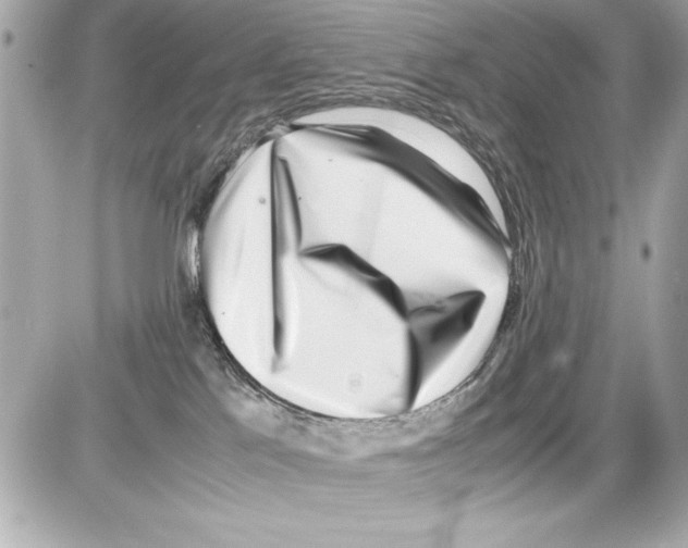 X0000085310041200704092334