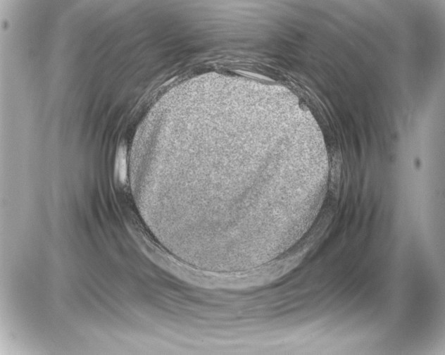 X0000085310046200704092334