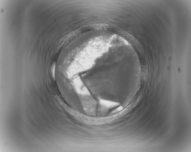 X0000085310047200704092334