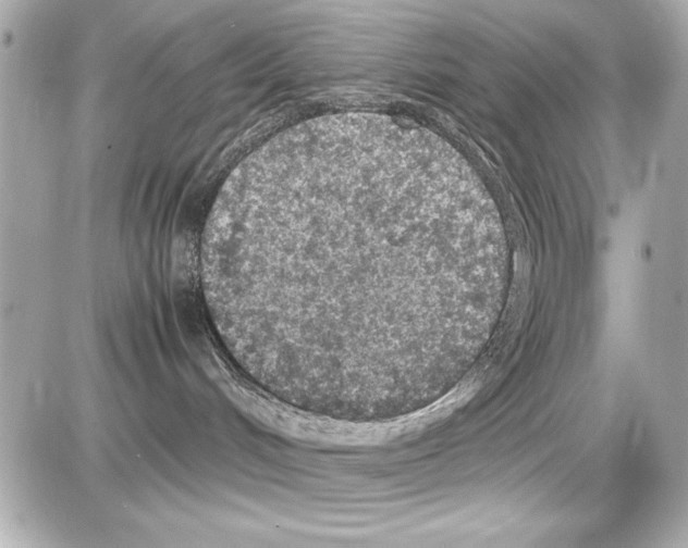 X0000085310048200704092334