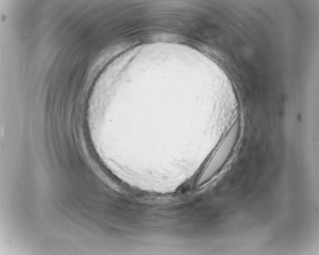X0000085310049200704092333