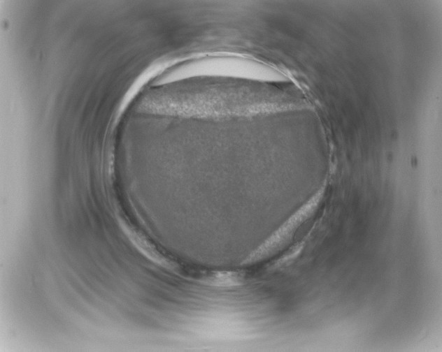 X0000085310056200704092333