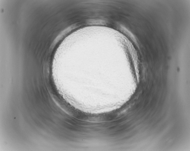 X0000085310059200704092334