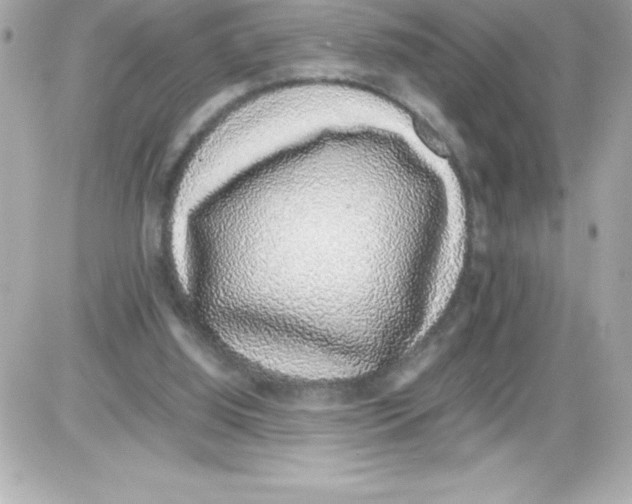 X0000085310060200704092334