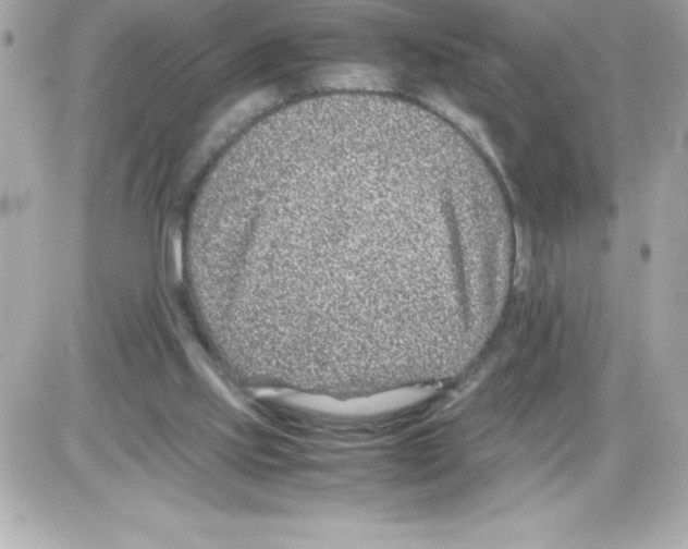 X0000085310061200704092334