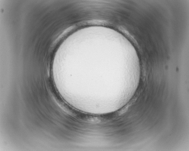 X0000085310062200704092334