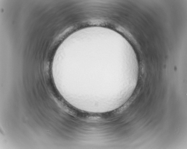 X0000085310066200704092334