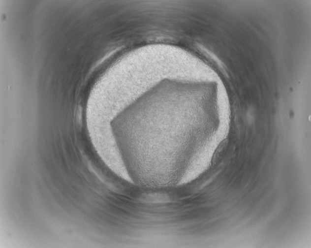 X0000085310067200704092334
