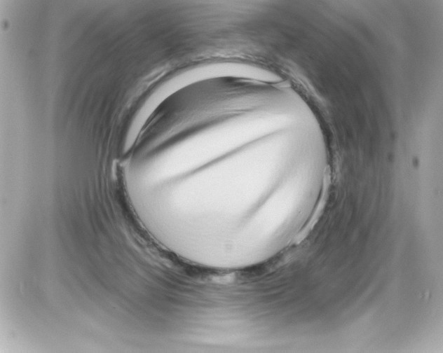 X0000085310068200704092334