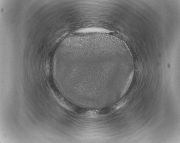 X0000085310080200704092334