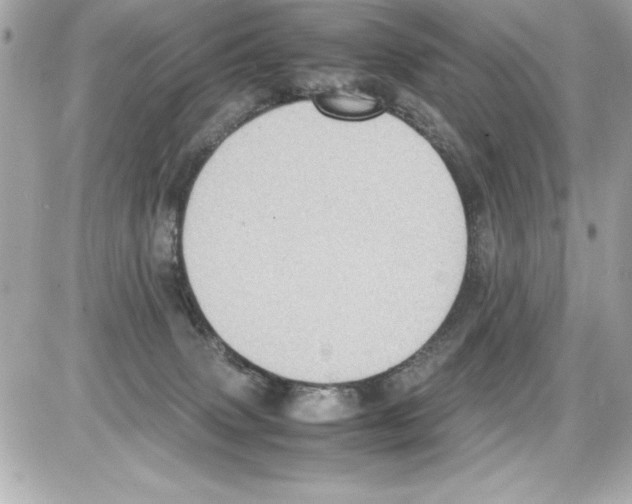 X0000085310083200704092334