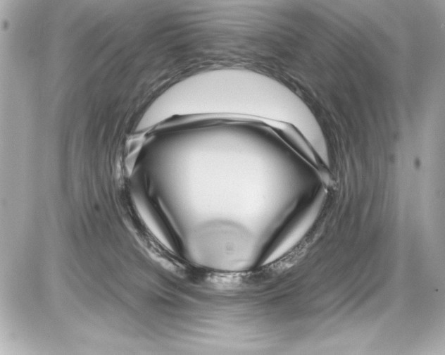 X0000085310084200704092334