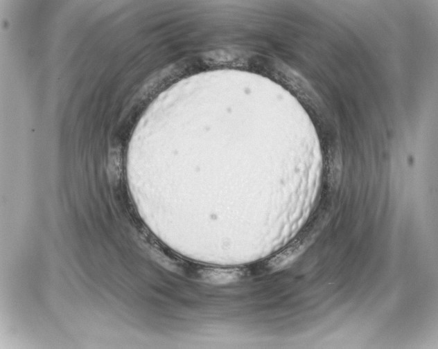 X0000085310085200704092334