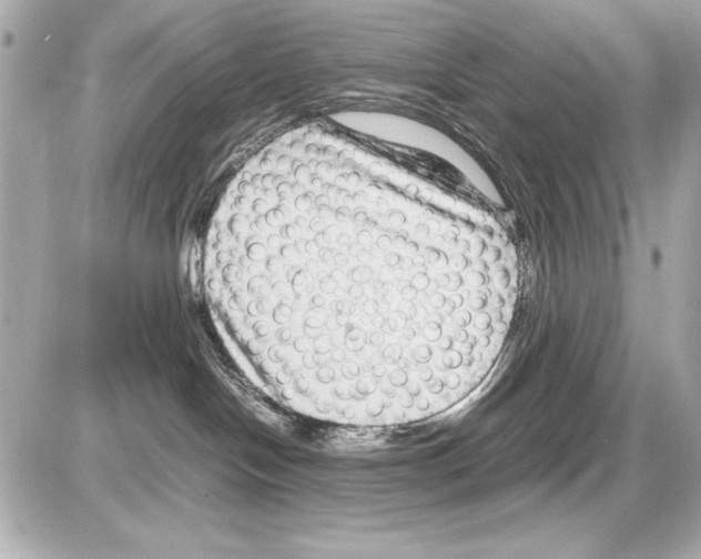X0000085310094200704092334