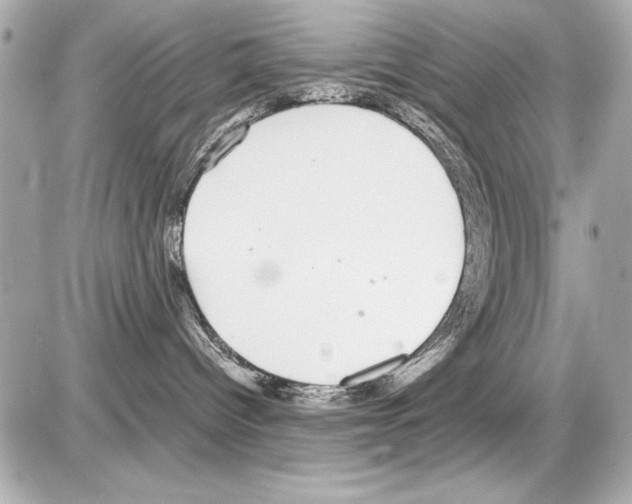 X0000085310096200704092334