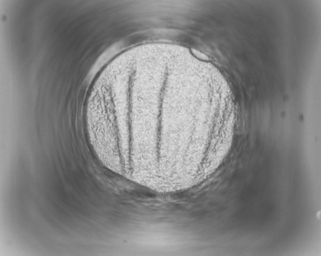X0000085310099200704092333