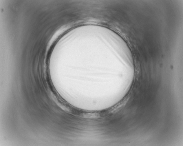 X0000085310102200704092333