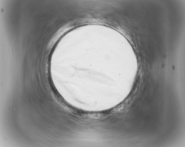 X0000085310103200704092333
