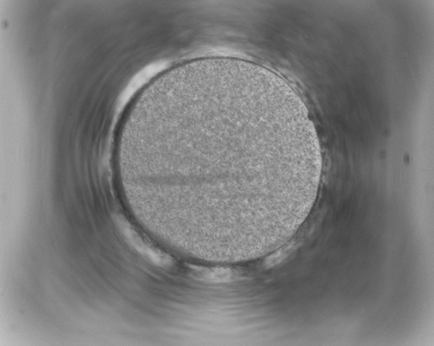 X0000085310104200704092333