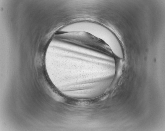 X0000085310105200704092333