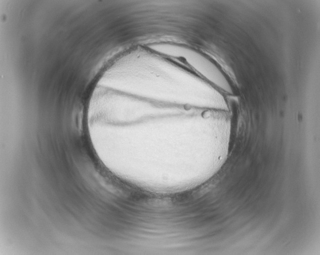 X0000085310110200704092333