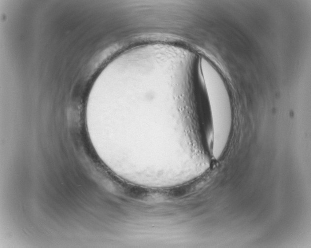 X0000085310111200704092333