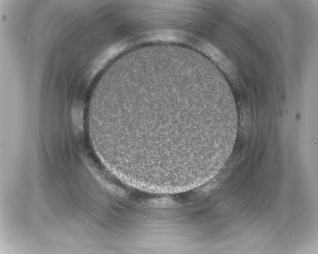 X0000085310112200704092333
