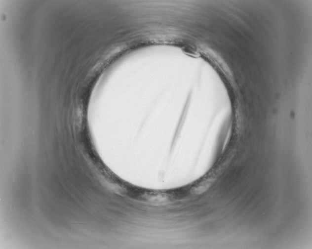 X0000085310113200704092333