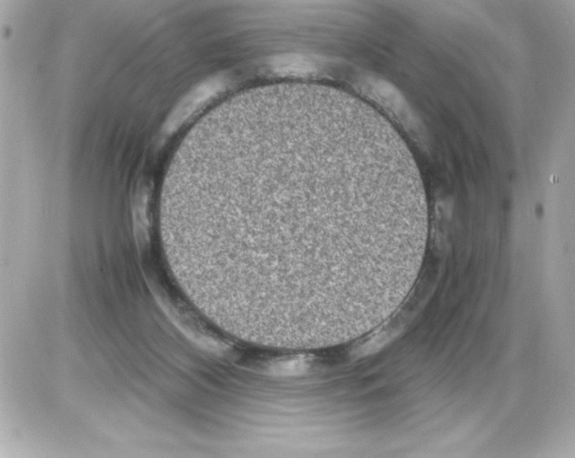 X0000085310116200704092333