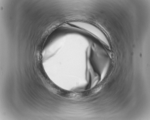 X0000085310117200704092333
