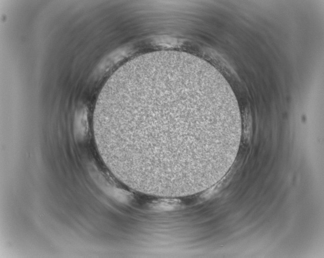 X0000085310128200704092333