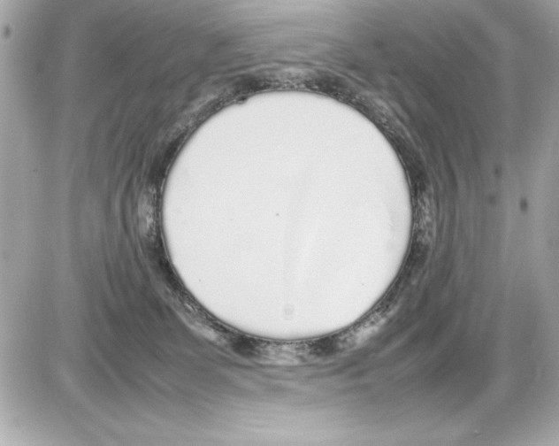 X0000085310131200704092333
