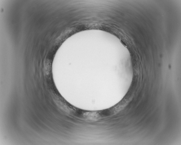 X0000085310133200704092333