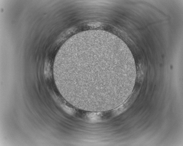X0000085310136200704092333