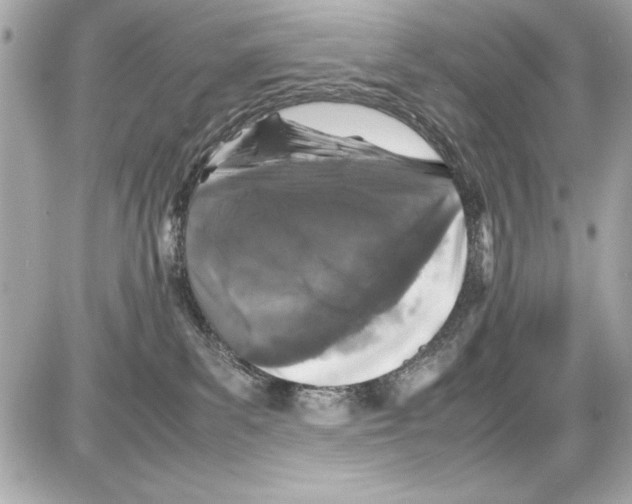 X0000085310139200704092333