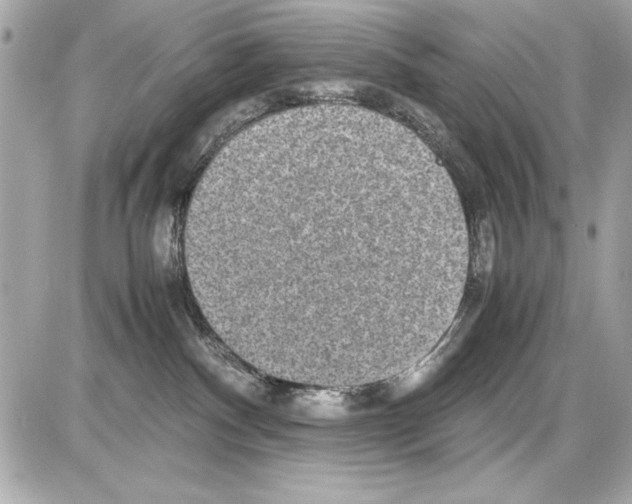 X0000085310140200704092333