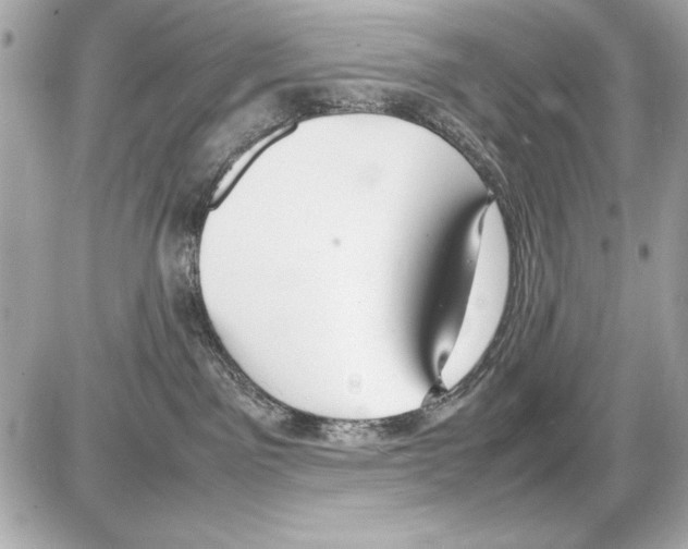 X0000085310141200704092333