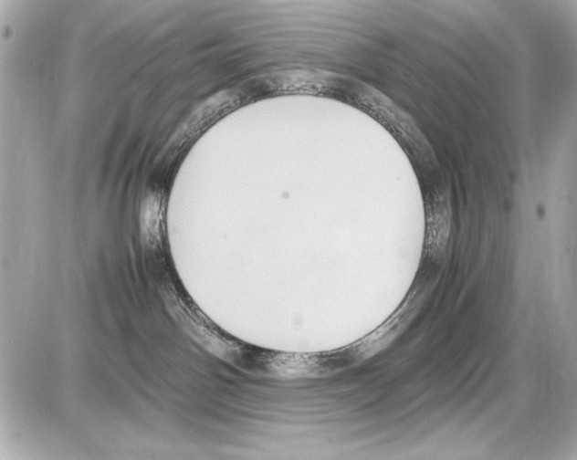 X0000085310142200704092333