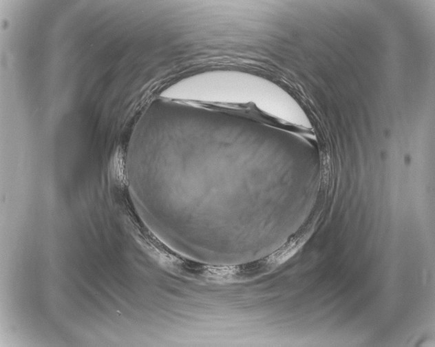 X0000085310143200704092333