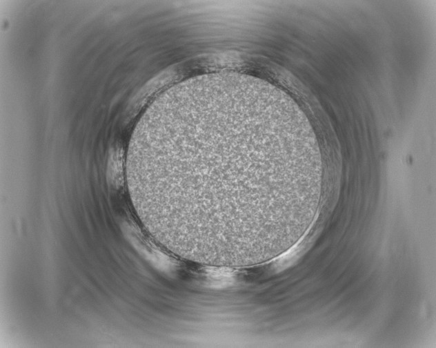 X0000085310144200704092333