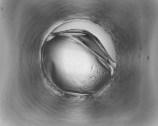 X0000085310148200704092332