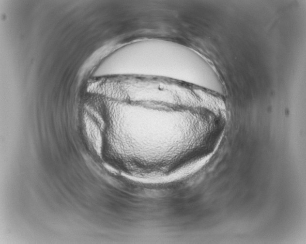 X0000085310149200704092332