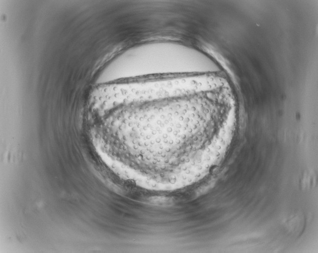 X0000085310153200704092332