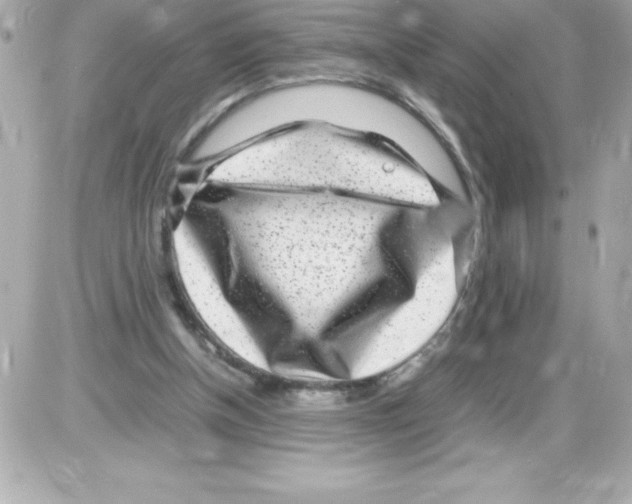 X0000085310154200704092332