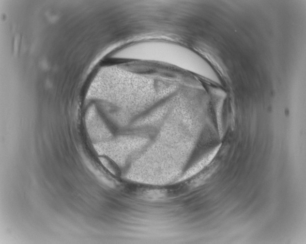 X0000085310156200704092332